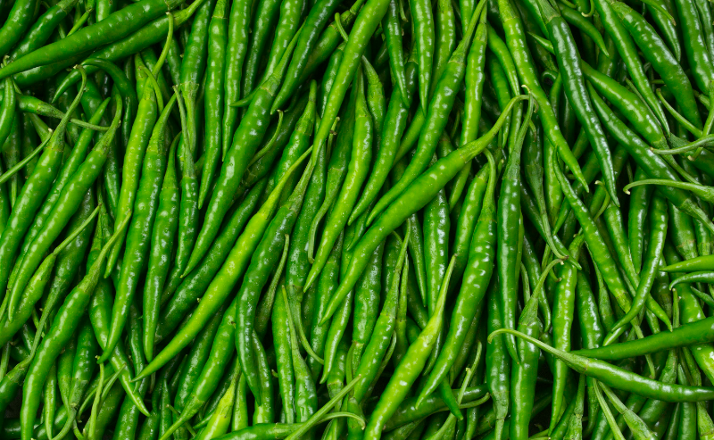 single-img-seventeen